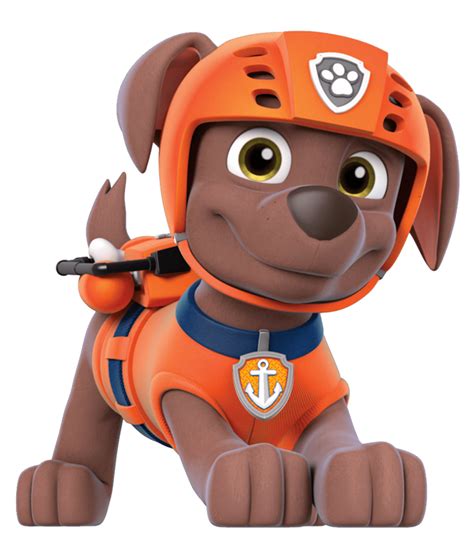 zuma paw patrol|More.